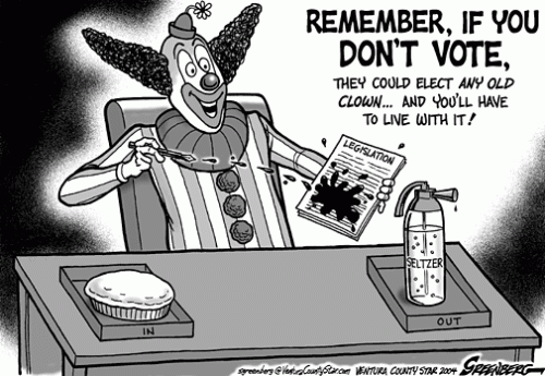 CONSEQUENCES OF VOTING